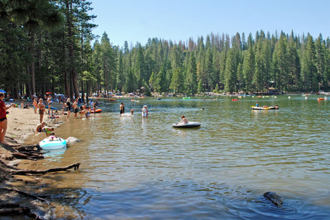 Pinecrest Lake Drowning: Tragic Death of Local Man in Presence of Son Raises Alarming Water Safety Concerns