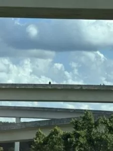 Spaghetti Junction Suicide: Man Dies After Jumping From I-285 Overpass in Atlanta, GA, Prompting Renewed Scrutiny of Mental Health Crisis and Infrastructure Safety