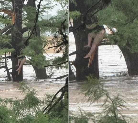 “I Just Kept Holding On”: Girl Swept 12 Miles Down Guadalupe River Clings to Life After Catastrophic Texas Flash Flood, Parents Still Missing